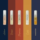 note di siena discovery kit note di siena discovery kit